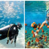 Try Scuba diving Package + Snorkeling in Dubai