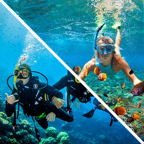 Scuba Diving in Dubai package + Rent Free snorkeling equipment
