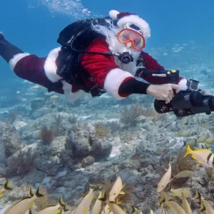 Scuba Diving Promotion For Christmas in Dubai